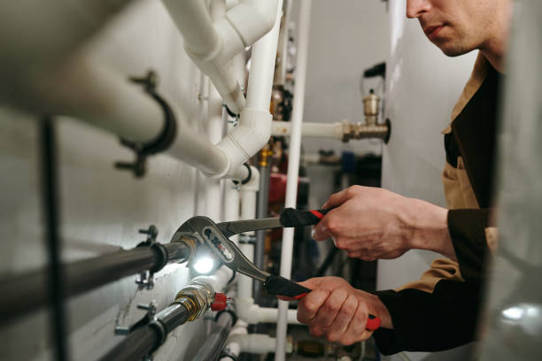 Best Clogged Drain Plumber  in Port Vue, PA