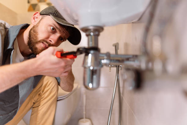 Best Clogged Drain Plumber  in Port Vue, PA